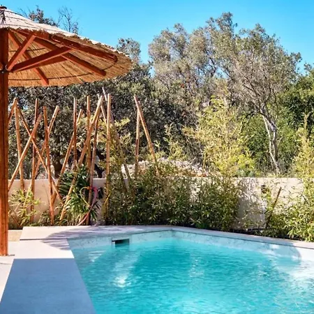 Miholascica 2 In Island By Guide *